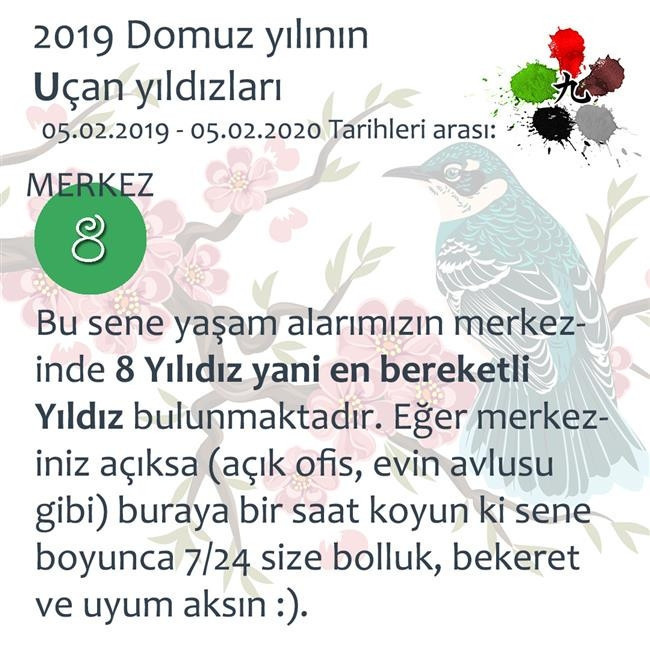 2019 Feng Shui Enerjileri