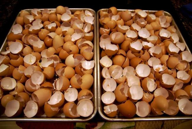 Yumurta Kabuğunu Pişirirseniz...