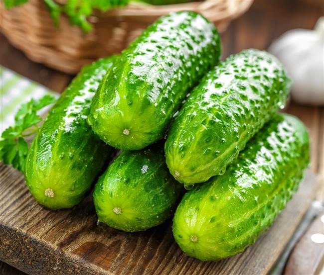 Salatalık: