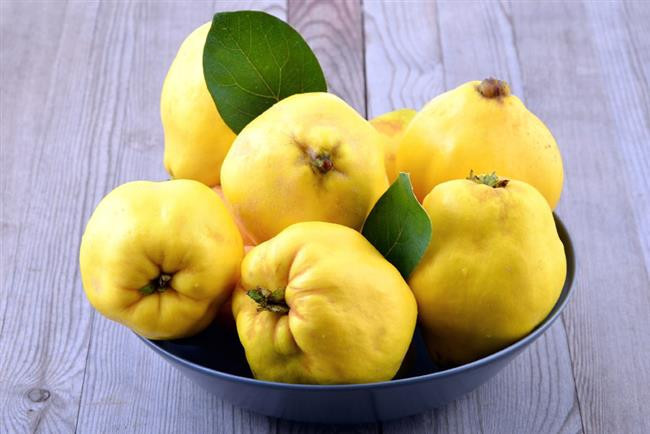 KANSERE KARŞI KORUR