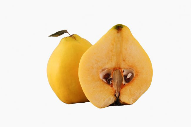 BÖBREK TAŞI OLUŞUMUNDAN KORUR