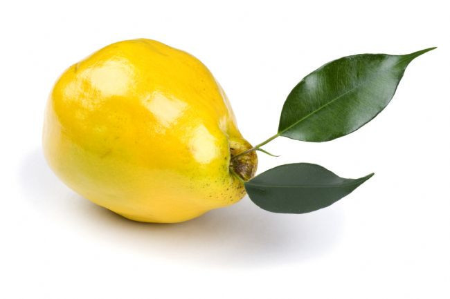 ÖKSÜRÜĞE İYİ GELİR