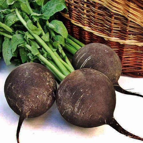 Cilt Sağlığı İçin Yararlıdır