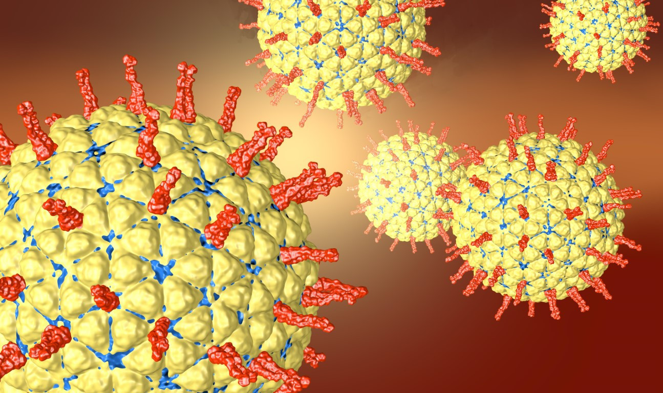 Rota virüsü nedir Rota virüsü nasıl bulaşır