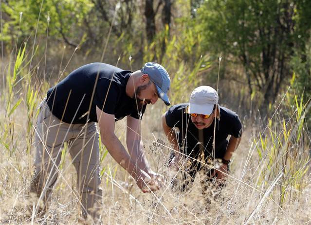 50 yıl sonra Ağrı Dağında yeniden görüntülendi