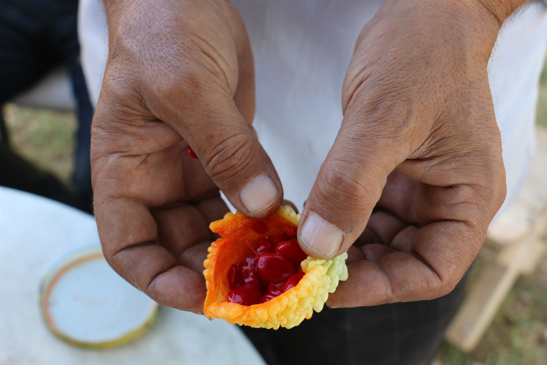İlaç niyetine kullanılıyor... Hastalara ücretsiz dağıtıyor