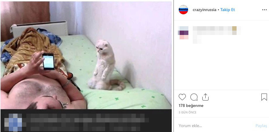Yol ortasında bunu yaptı Sosyal medya yıkıldı