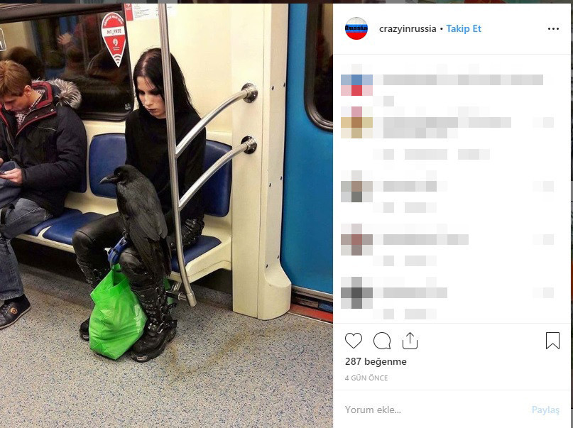 Yol ortasında bunu yaptı Sosyal medya yıkıldı