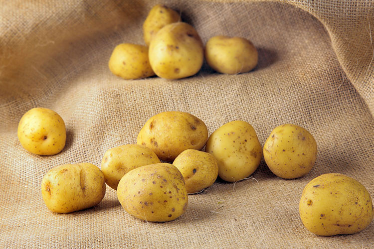 PATATES PATATES