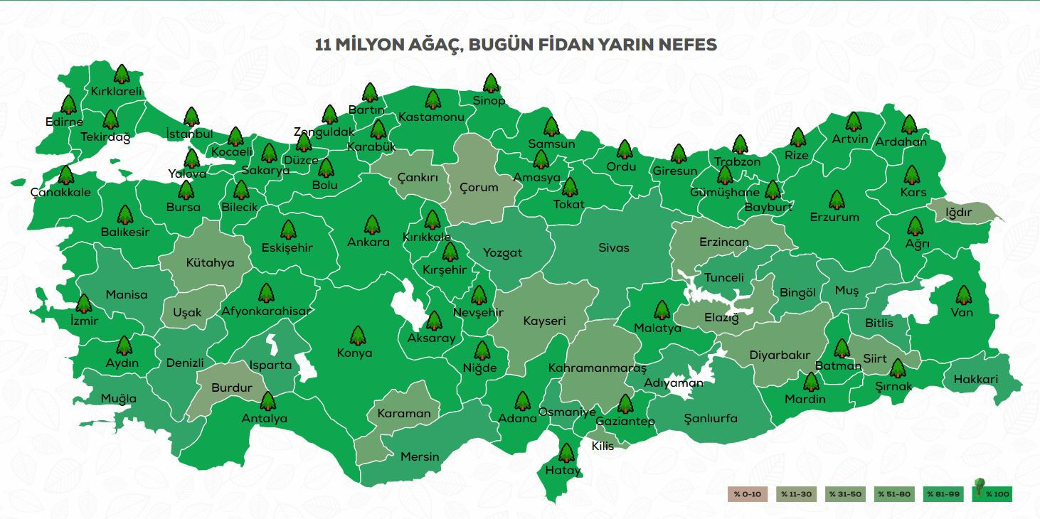 GELECEĞE NEFES FİDAN DİKME KAMPANYASI İÇİN KATILIM VE BAŞVURU İŞLEMİ NASIL YAPILIR