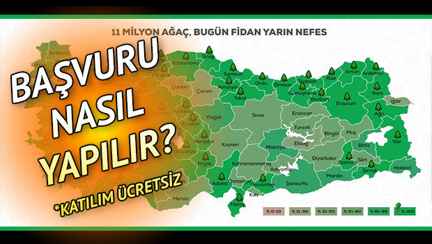 Geleceğe Nefes ağaç ve fidan dikme kampanya katılım belgesi için son başvuru şansı