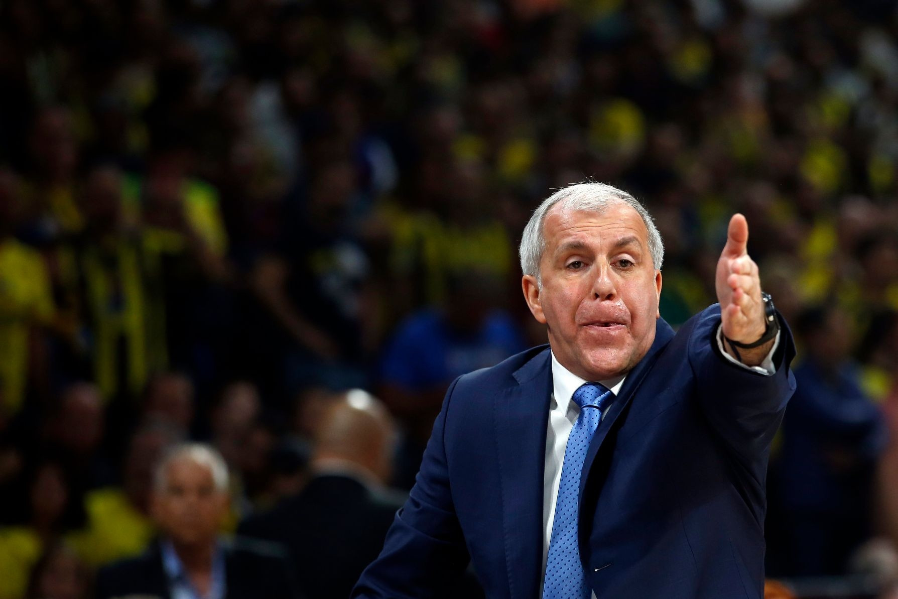 Taraftardan Obradovice destek Yeni sözleşme... Taraftardan Obradovice destek Yeni sözleşme...