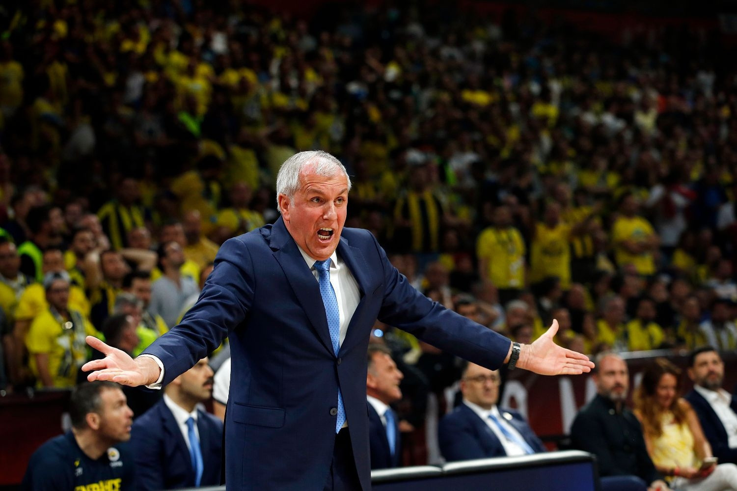 Taraftardan Obradovice destek Yeni sözleşme... Taraftardan Obradovice destek Yeni sözleşme...