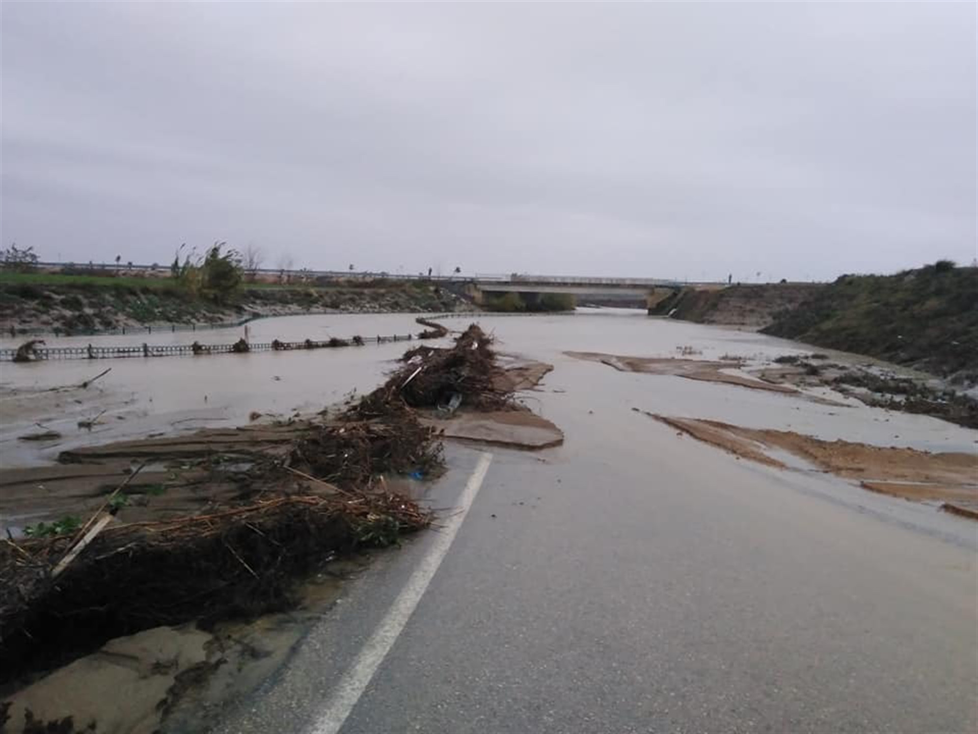 Adana sele teslim oldu