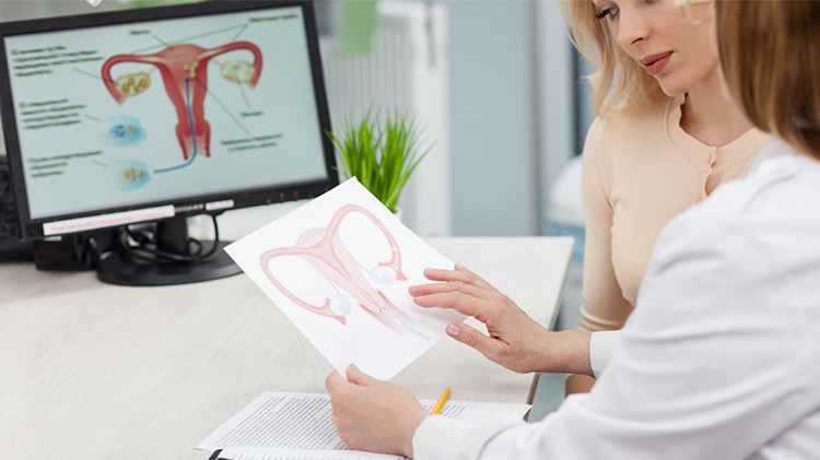 Ogizdagi ikkita xoroz fotosurati