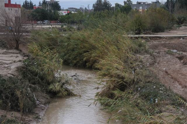 Son dakika haberler: Adana 4 gündür felaketi yaşıyor Sular çekilince ortaya çıktı