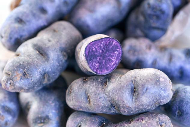 Yüksek besin değerlerine sahip Yüksek besin değerlerine sahip