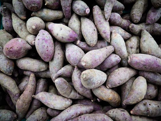 Mor Patates İle Tanıştınız mı İşte Mor Patatesin 7 Muhteşem Faydası Mor Patates İle Tanıştınız mı İşte Mor Patatesin 7 Muhteşem Faydası