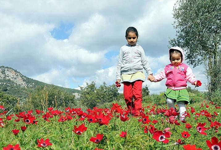 İKİNCİ VE ÜÇÜNCÜ CEMRE NE ZAMAN DÜŞECEK