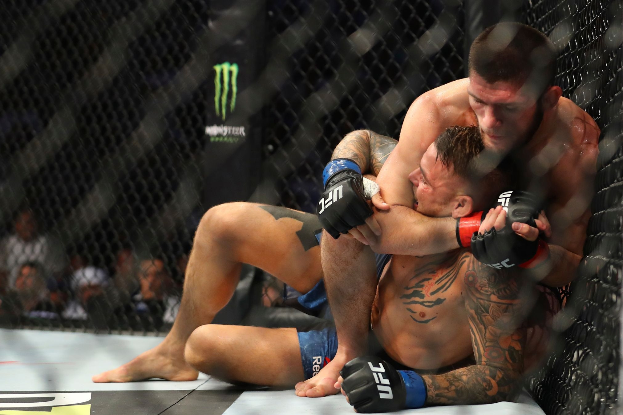 Khabib Nurmagomedova Suudi Arabistanda dövüşmesi için servet teklif ettiler