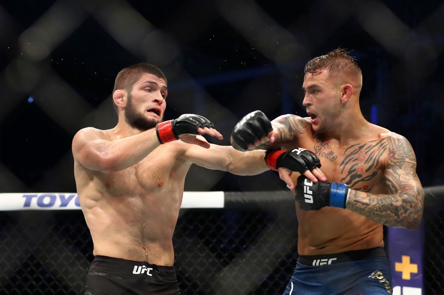 Khabib Nurmagomedova Suudi Arabistanda dövüşmesi için servet teklif ettiler