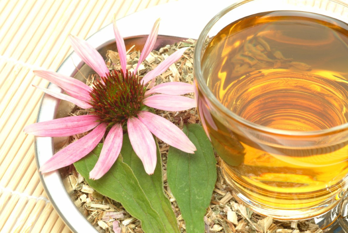 Ekinezya ve adaçayı birlikte kullanıldığında daha yoğun iyileştirme sağlıyor