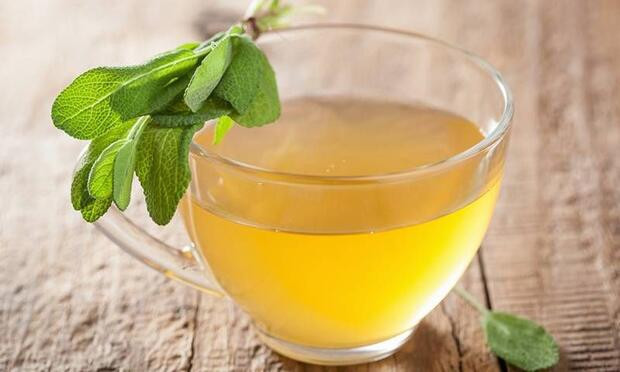 Kış hastalıklarından korunmanın ilacı adaçayı ve ekinezya