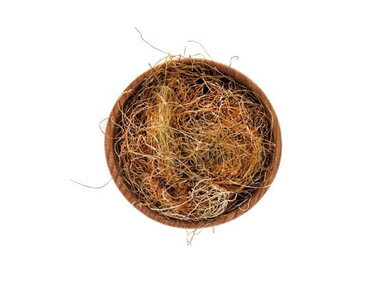 MISIR PÜSKÜLÜ - KİRAZ SAPI KÜRÜ MISIR PÜSKÜLÜ - KİRAZ SAPI KÜRÜ