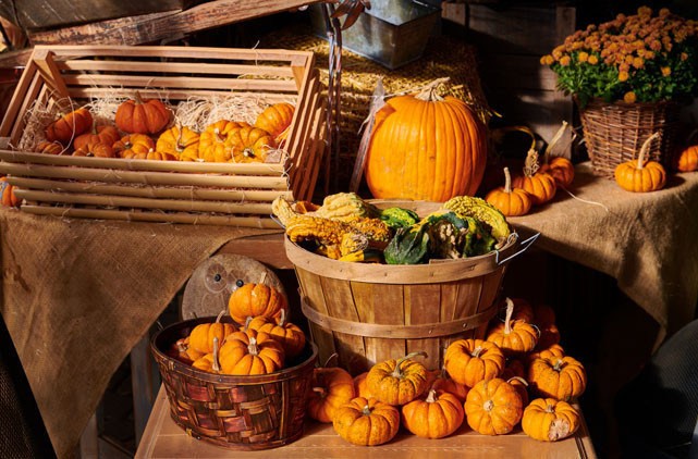 Listede 2 Türk şirketi var İşte dünyanın en büyükleri