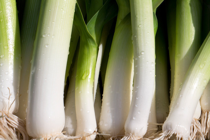 Bu besinler mutfağınızda olsun… Hepsi doğal antibiyotik