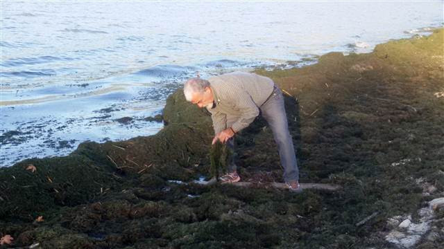 Doğa harikası Kovada Gölünün son hali