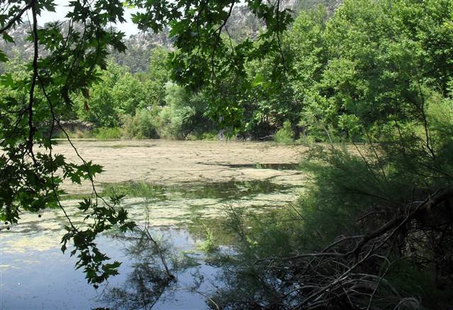 Doğa harikası Kovada Gölünün son hali
