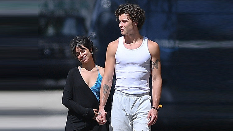 Karantinada Aşıkları: Camila Cabello & Shawn Mendes