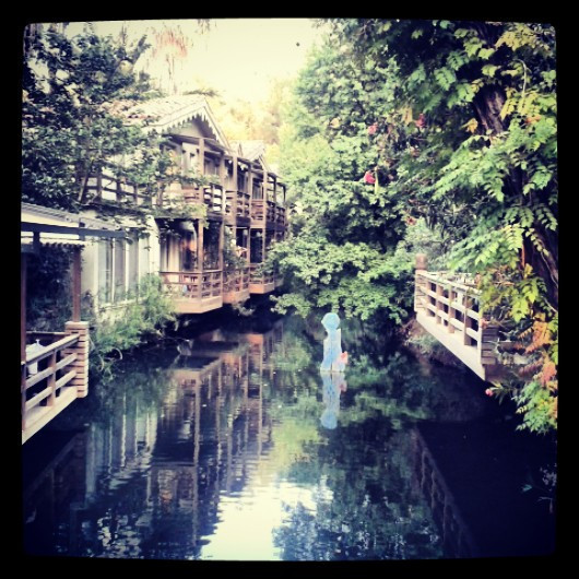 Wellness hikayeleri II