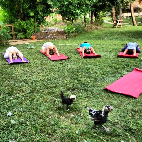 Wellness hikayeleri II