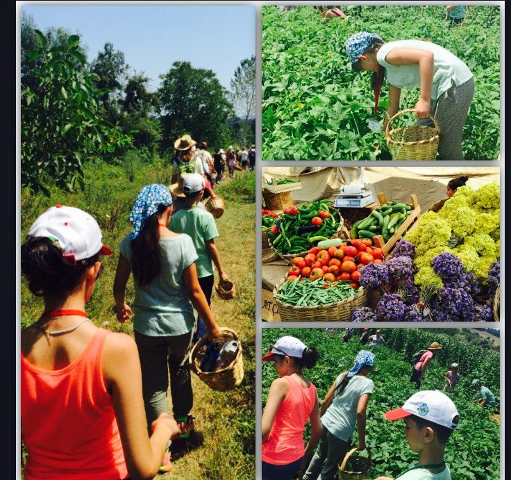Arada bir dopdoğal hayata tanıklık etmek lazım
