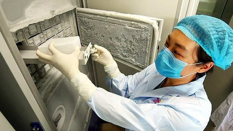 DSÖden koronavirüsün kaynağına dair en net açıklama