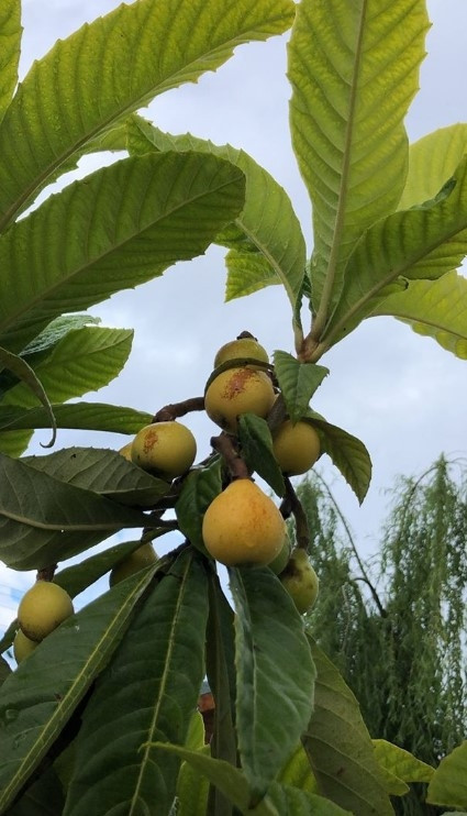 Ünlü oyuncu iki çocuğunu da alıp İstanbulu terk etti... Endonezyada yeni hayat