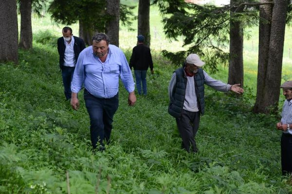 Trabzonlular göktaşı aradı
