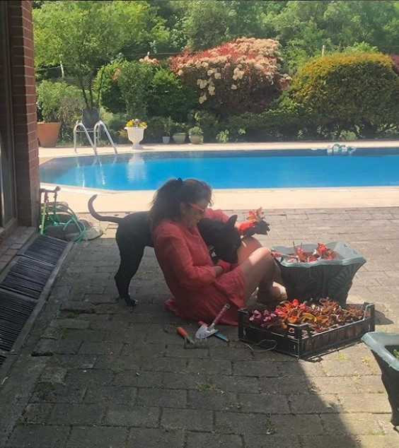 DİZİLERE EV SAHİPLİĞİ YAPTI