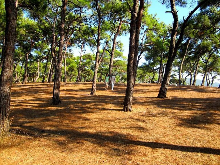 Piknik yerleri açıldı mı Piknik alanları ve mesire yerleriyle ilgili genelge Piknik yerleri açıldı mı Piknik alanları ve mesire yerleriyle ilgili genelge