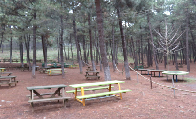 Piknik alanları açıldı mı Hafta sonu piknik ve mangal serbest mi