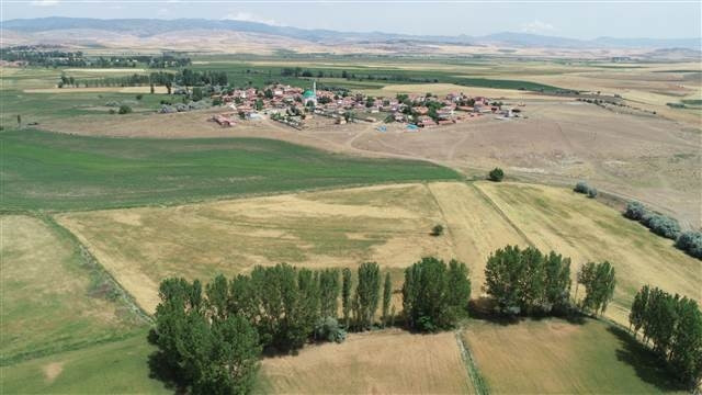 Çorumda köylüleri korkutan aslan iddiası