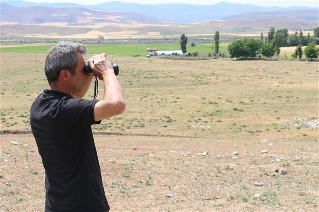 Çorumda köylüleri korkutan aslan iddiası