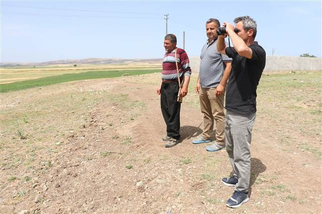 Çorumda köylüleri korkutan aslan iddiası