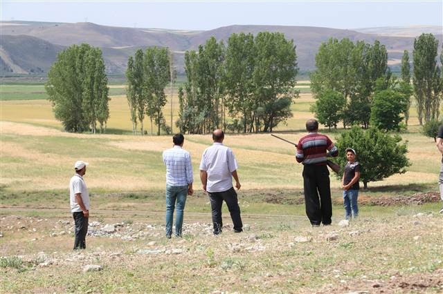 Çorumda köylüleri korkutan aslan iddiası