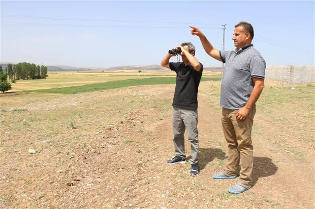Çorumda köylüleri korkutan aslan iddiası
