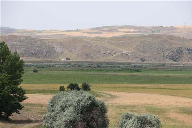 Çorumda köylüleri korkutan aslan iddiası
