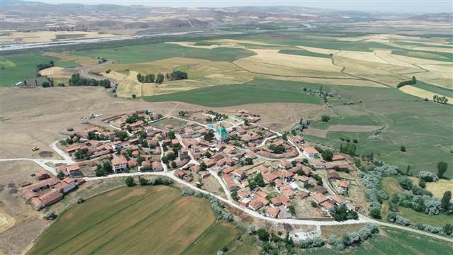 Çorumda köylüleri korkutan aslan iddiası