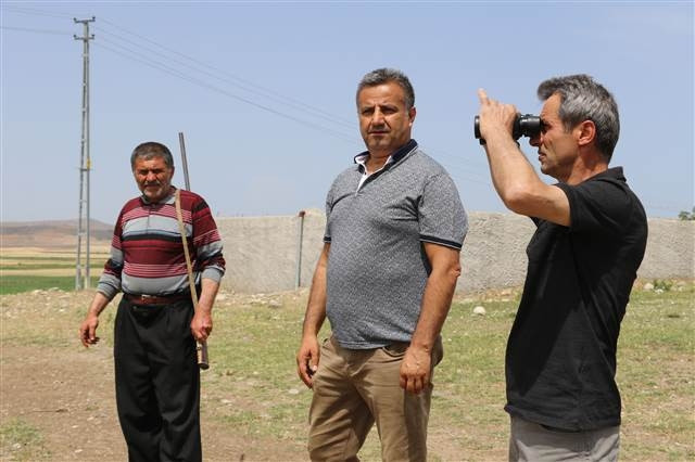 Çorumda köylüleri korkutan aslan iddiası